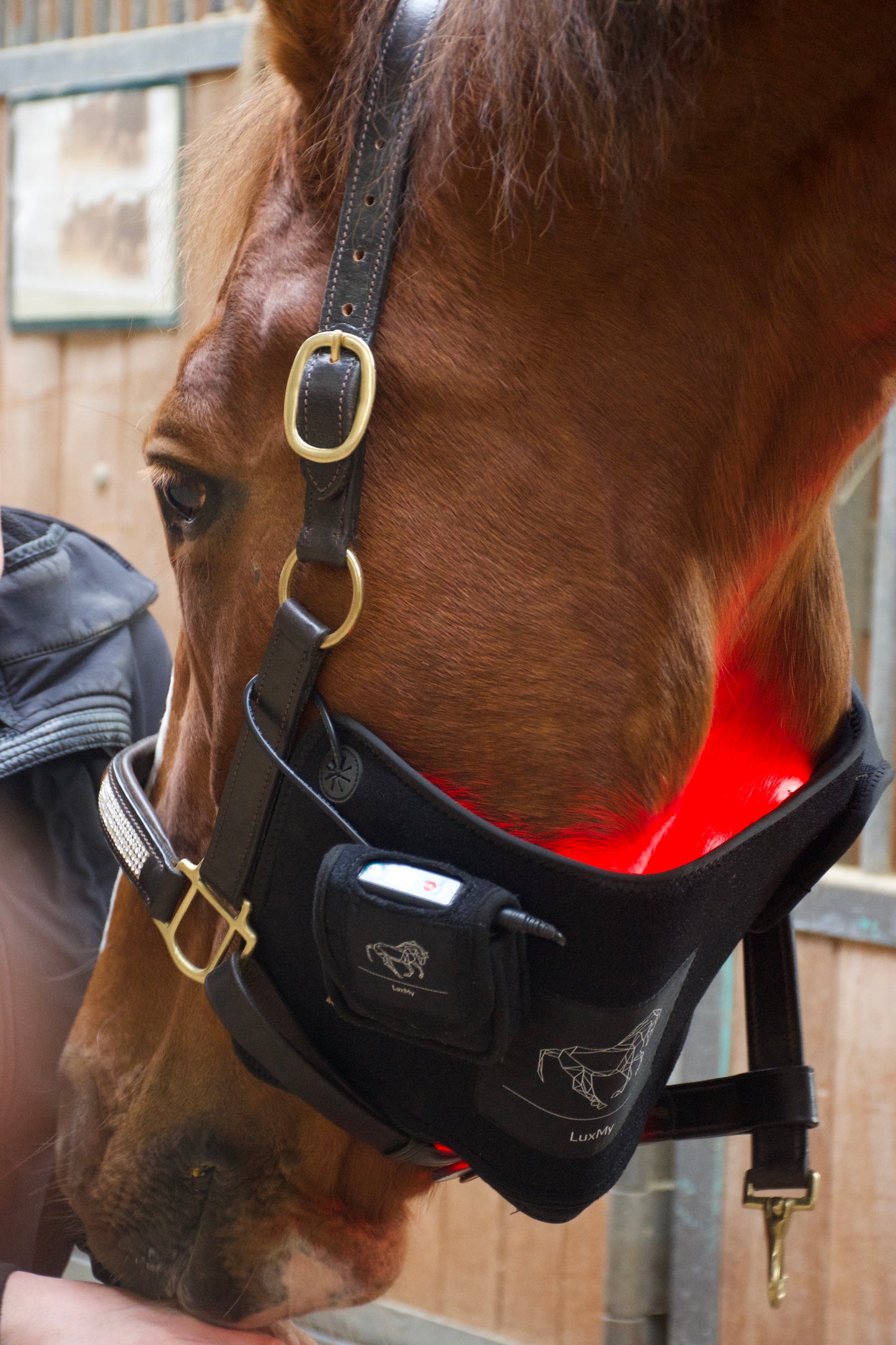 LuxMy S-Pad (Gamasche TIEF)