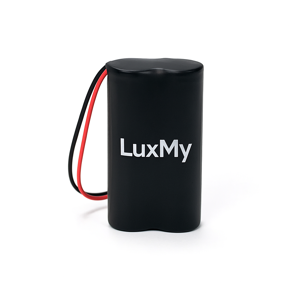 Austausch Lithium-Ionen-Batteriepack