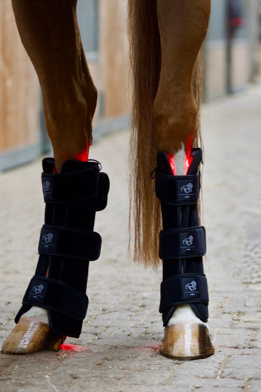 LuxMy Set - Gamaschen (Hoch)