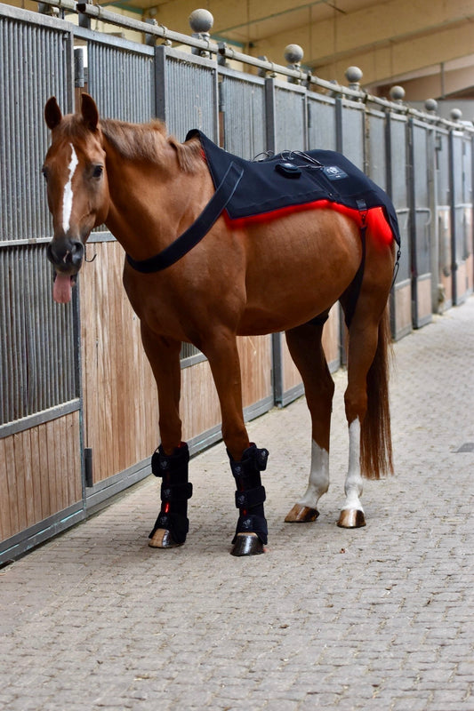 LuxMy Set - Sorglos (Decke / Gamaschen Set HOCH)