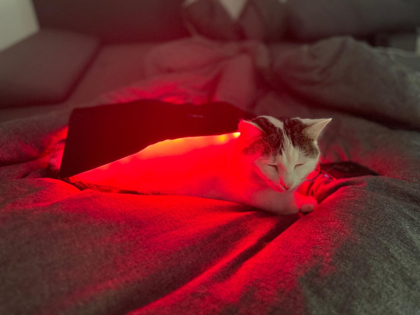 LuxMy M-Pad
