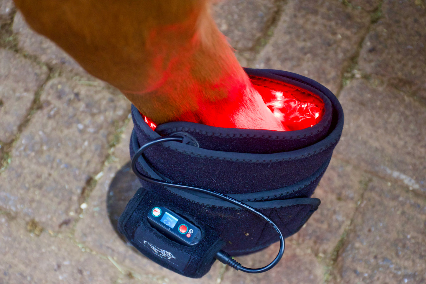 Mietprodukt LuxMy M-Pad
