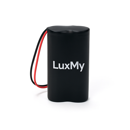 Austausch Lithium-Ionen-Batteriepack