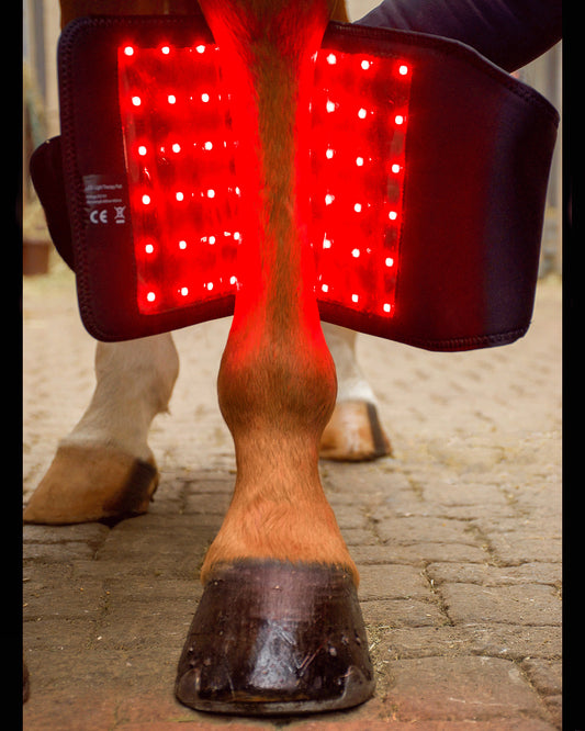 Mietprodukt LuxMy S-Pad (Gamasche TIEF)