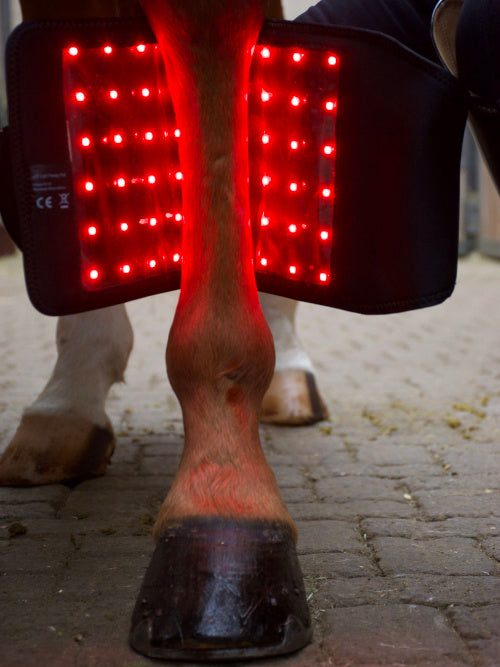 LuxMy S-Pad (Gamasche TIEF)